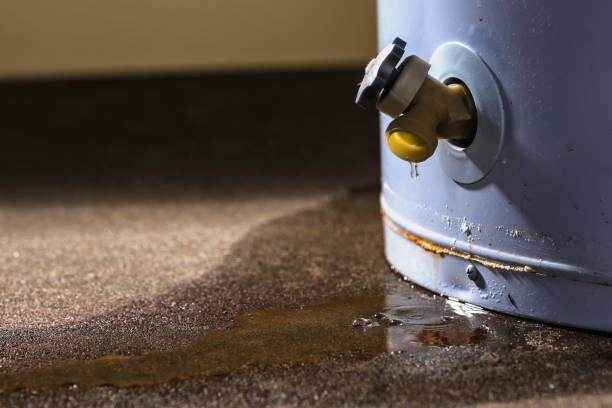 Best Water damage restoration near me  in Crimora, VA