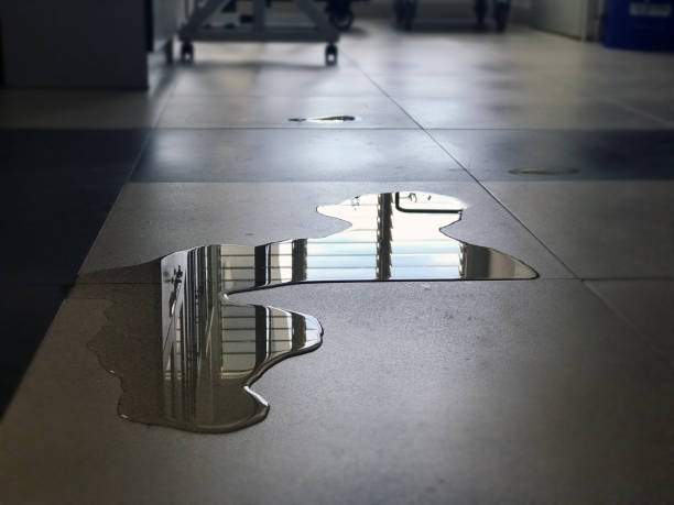 Best Local water damage restoration  in Crimora, VA