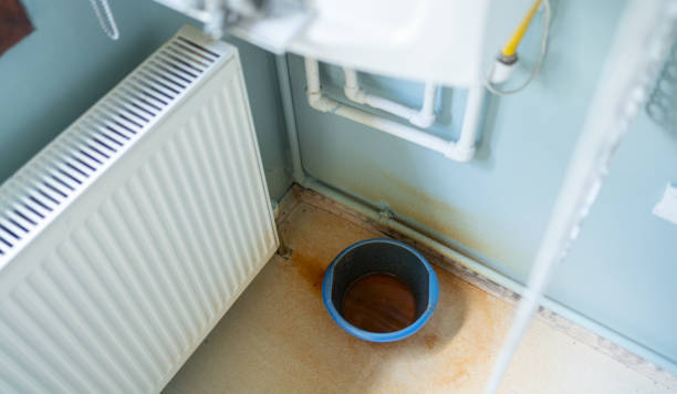Best Local water damage restoration  in Crimora, VA
